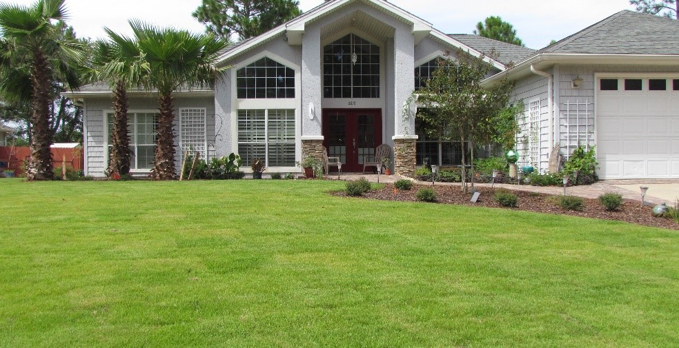 Newly Installed Sod